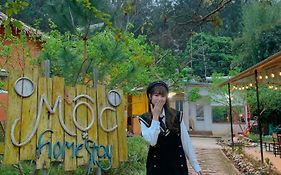 Mộc House